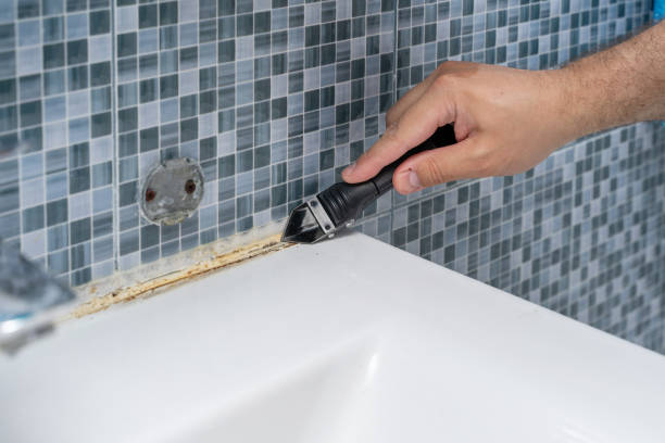 Best Mold Testing and Inspection Services in Madison Heights, MI